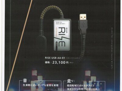RISE USB(型番AA-01)