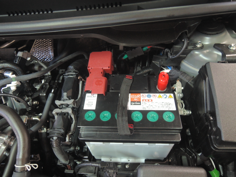 ECO.R Revolution LN１